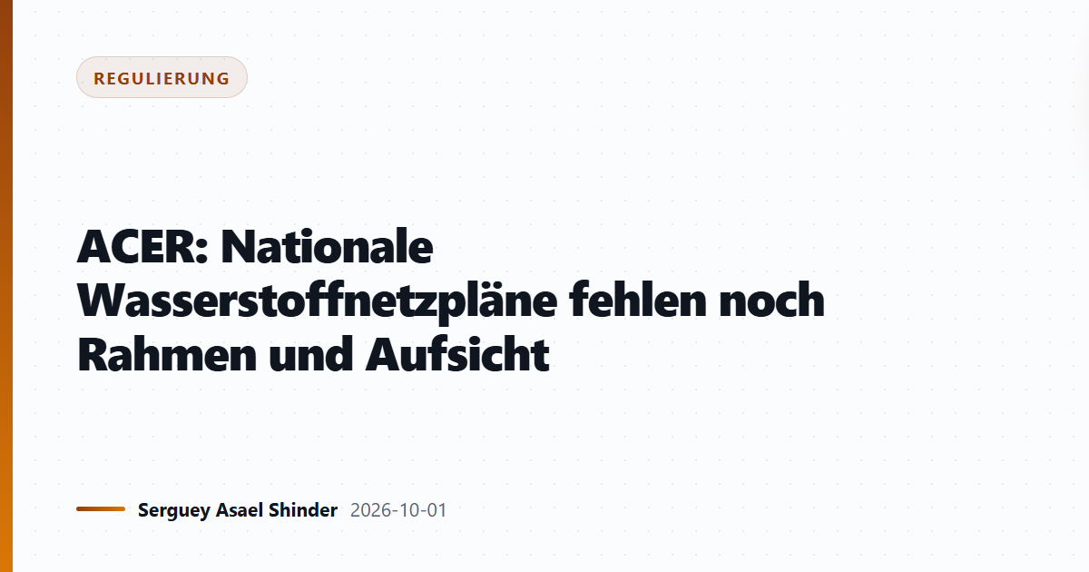 ACER: Nationale Wasserstoffnetzpläne fehlen noch Rahmen und Aufsicht