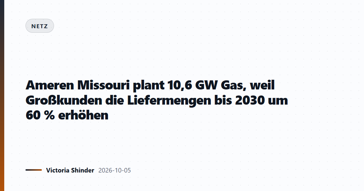 Ameren Missouri plant 10,6 GW Gas, weil Großkunden die Liefermengen bis 2030 um 60 % erhöhen