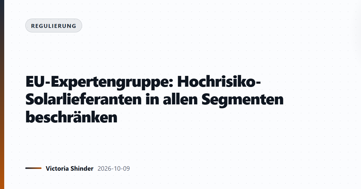 EU-Expertengruppe: Hochrisiko-Solarlieferanten in allen Segmenten beschränken