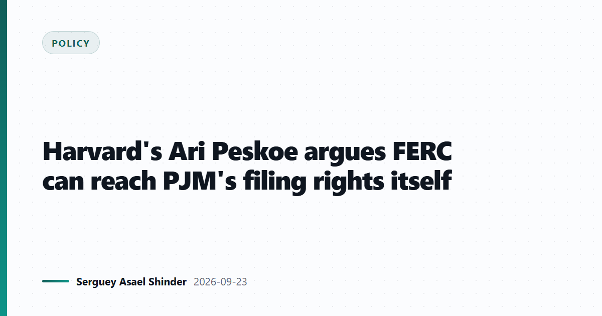 Harvard's Ari Peskoe argues FERC can reach PJM's filing rights itself
