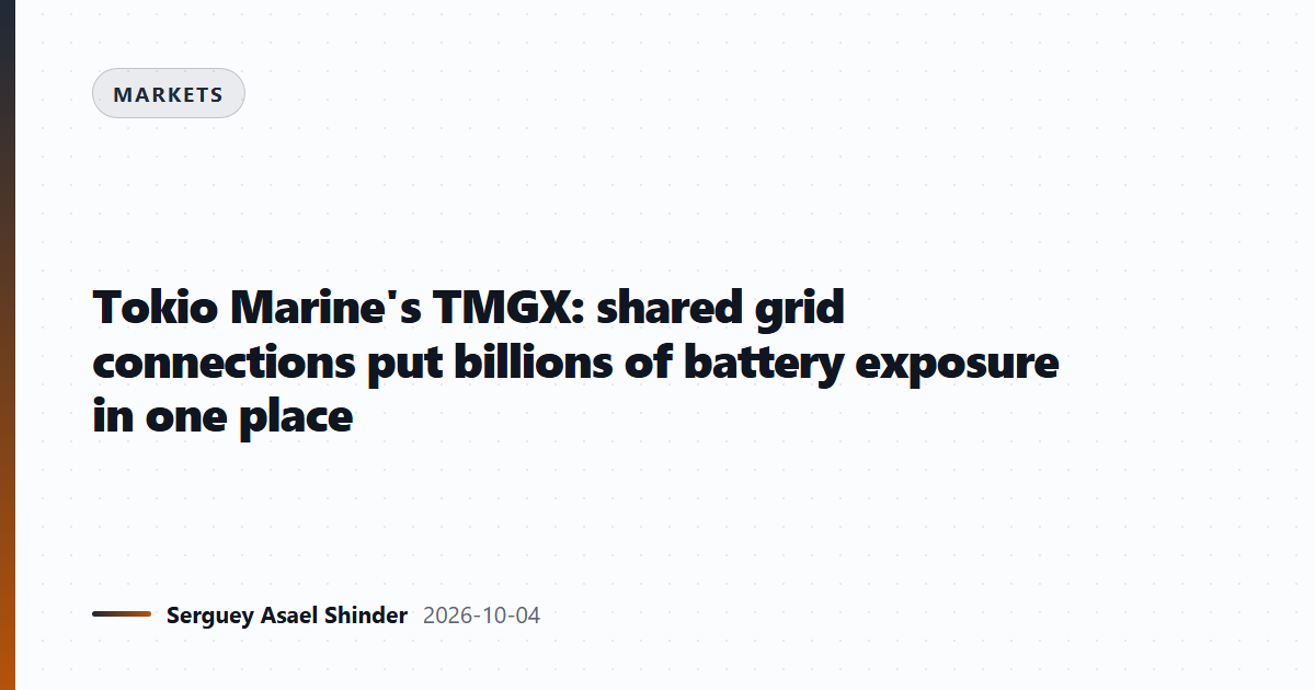Tokio Marine's TMGX: shared grid connections put billions of battery exposure in one place
